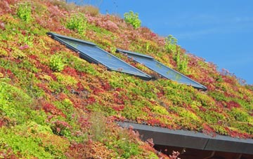 New Hinksey living roof systems